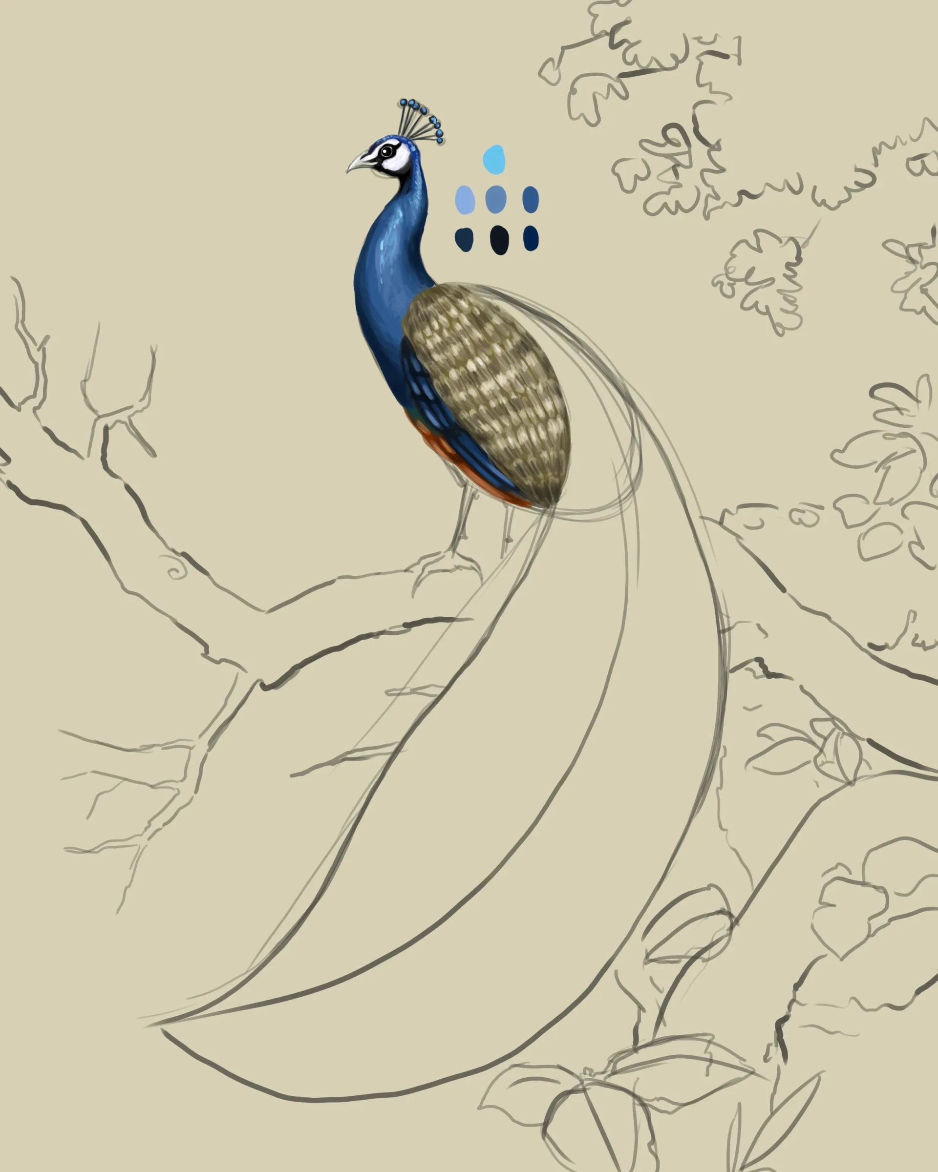 dessiner la texture d’un paon 