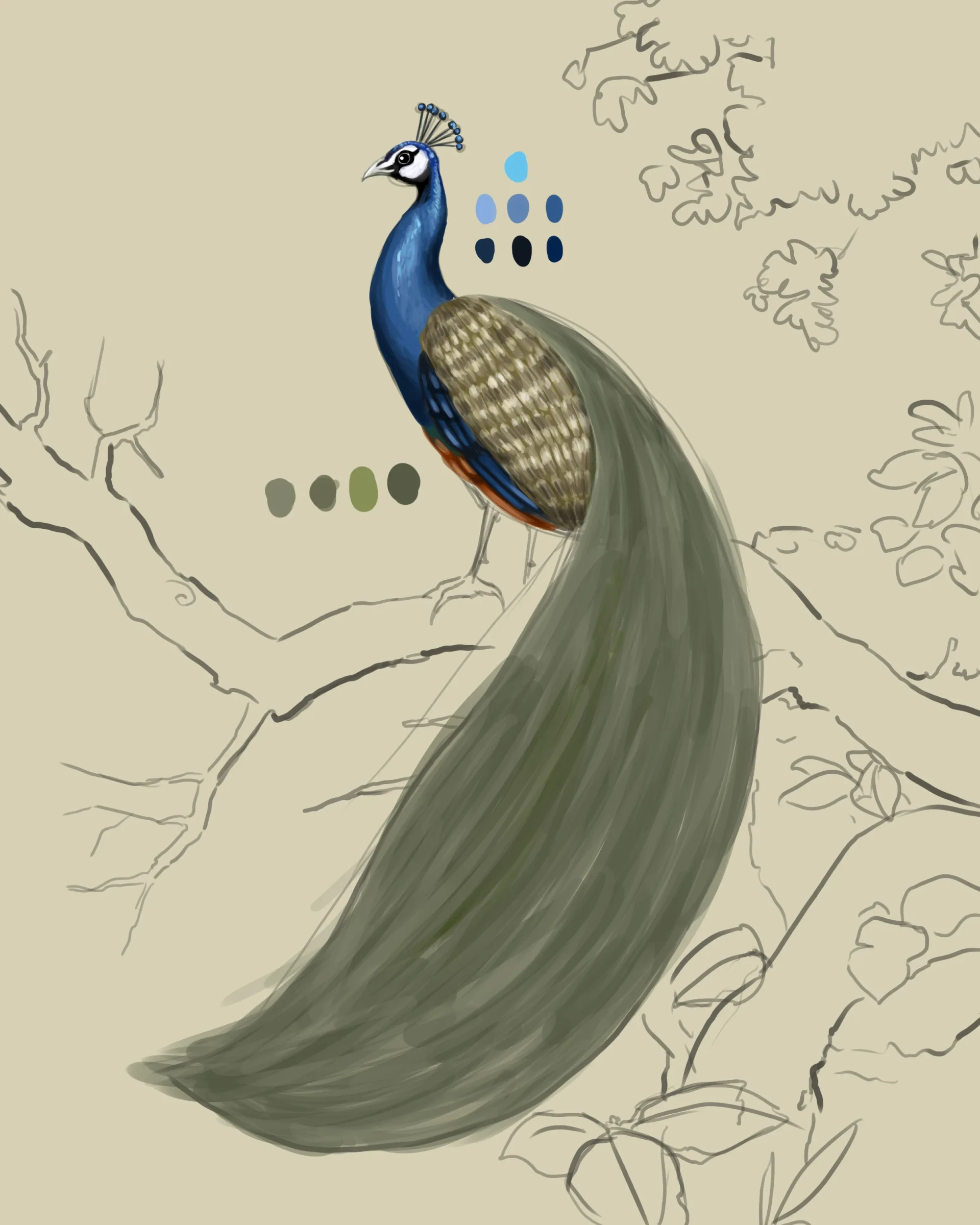 dessiner la traîne de la texture d’un paon