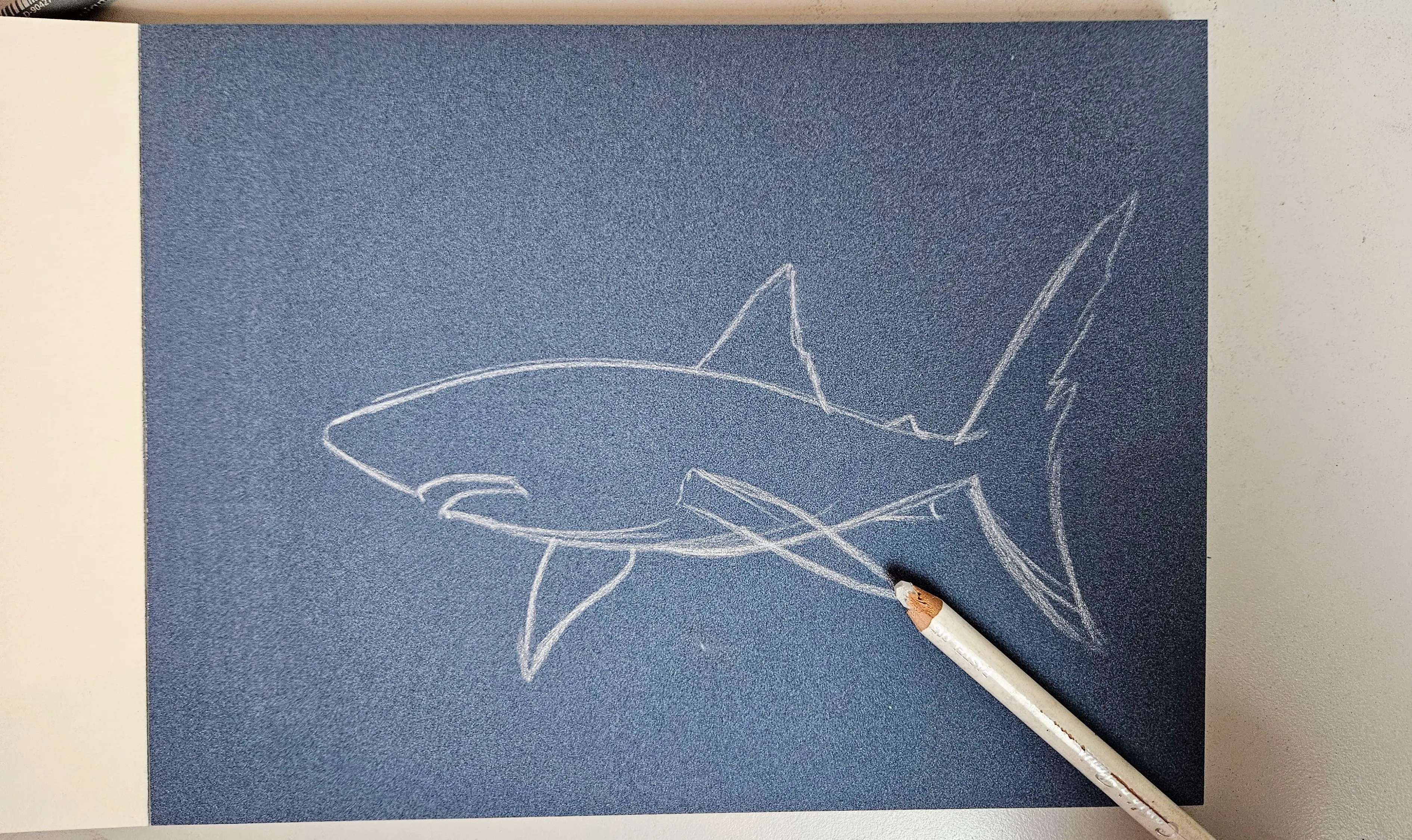 dessiner la base d’un requin aux pastels