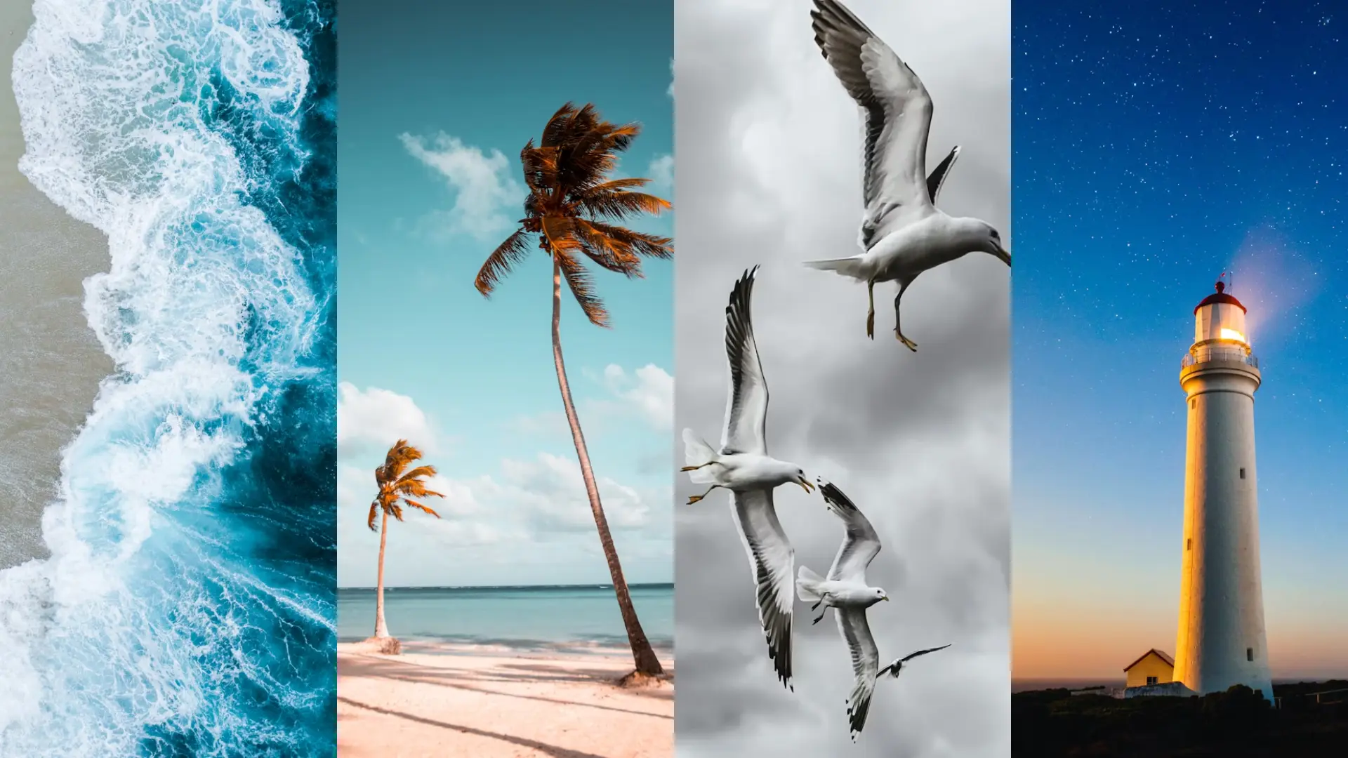 les éléments d’un paysage marin