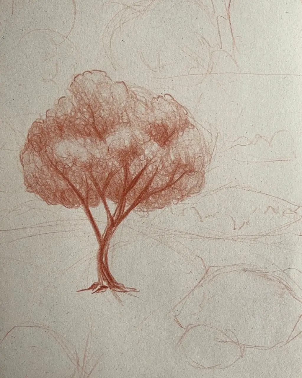 Zeichnen Sie die Blätter eines Baumes in einer Landschaft in Sanguine.