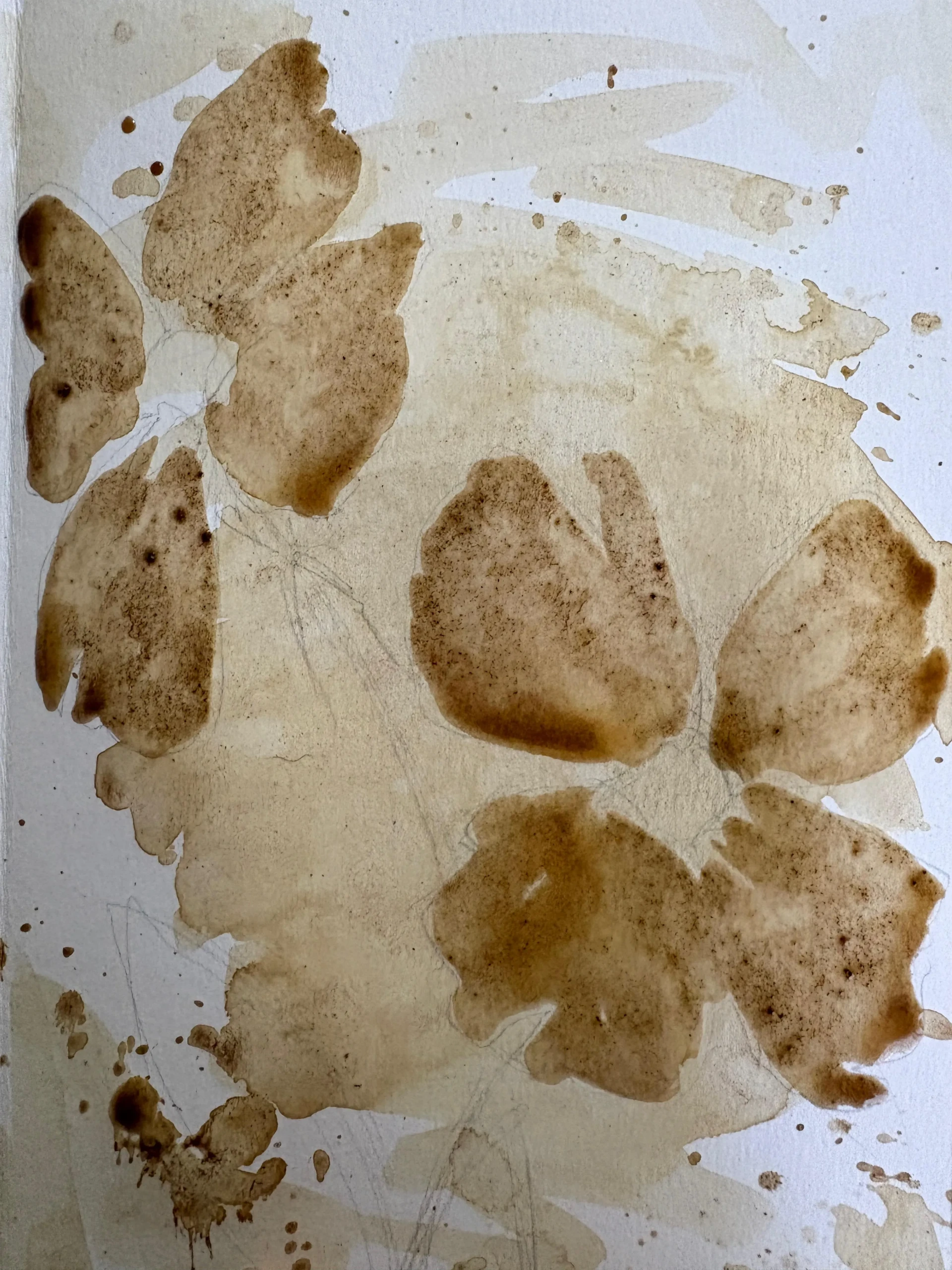 peindre les pétales d’un motif floral avec du café clair