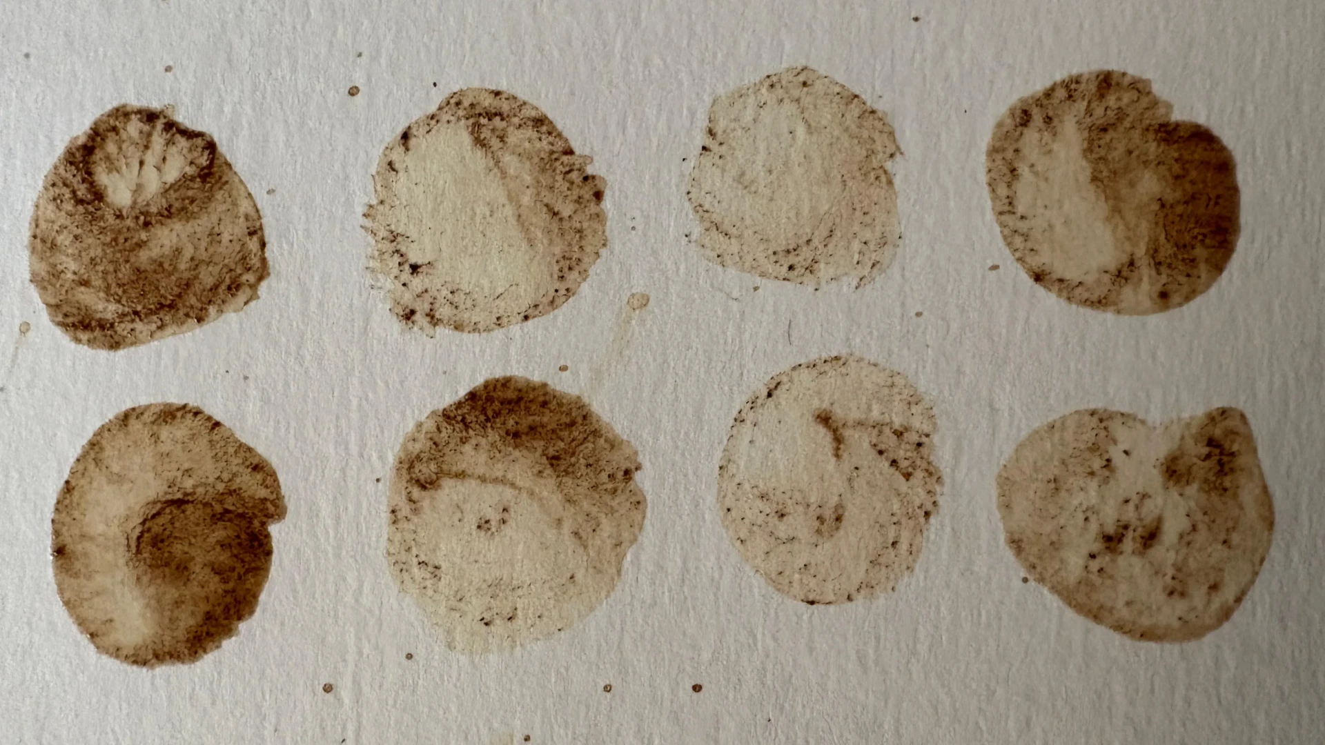 peindre des cercles avec du café