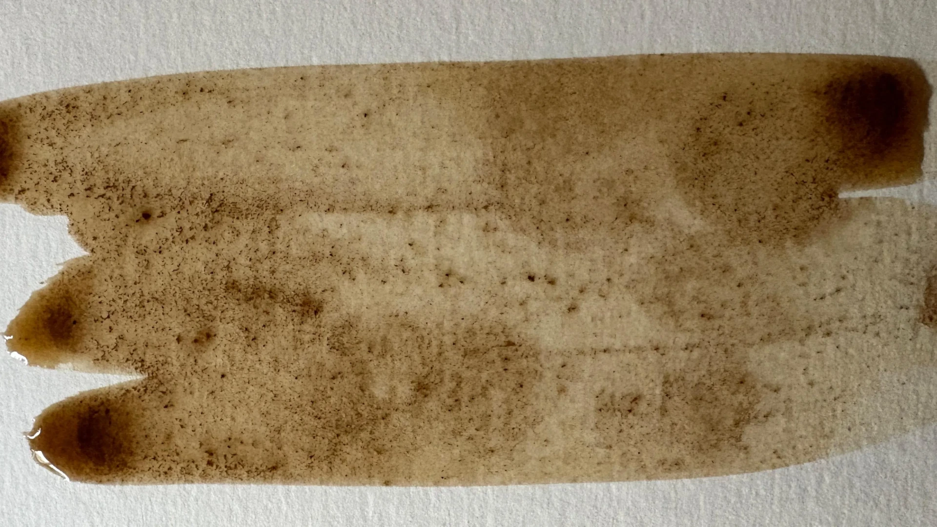 peindre avec une couche humide de café