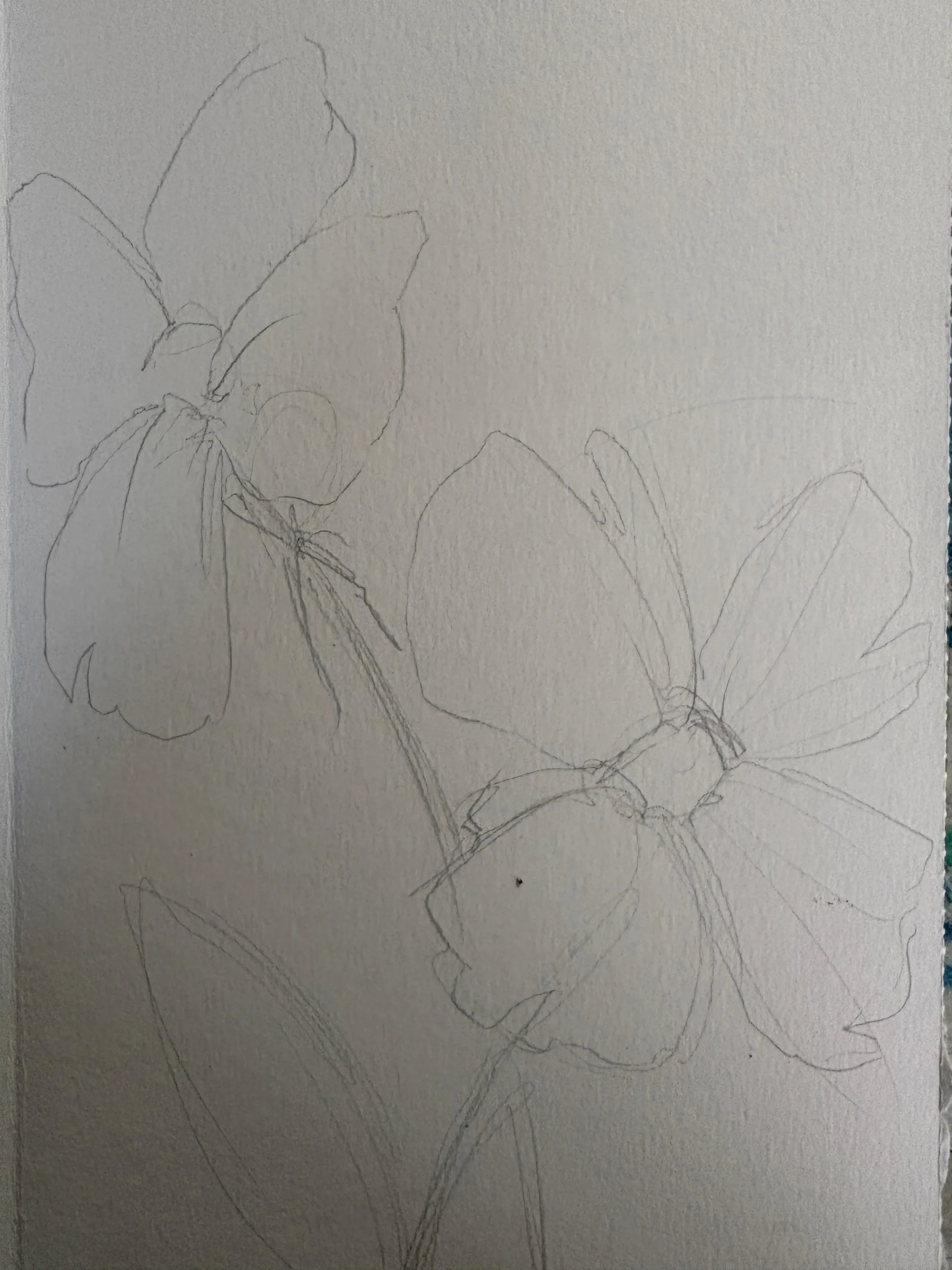 dessiner un motif floral