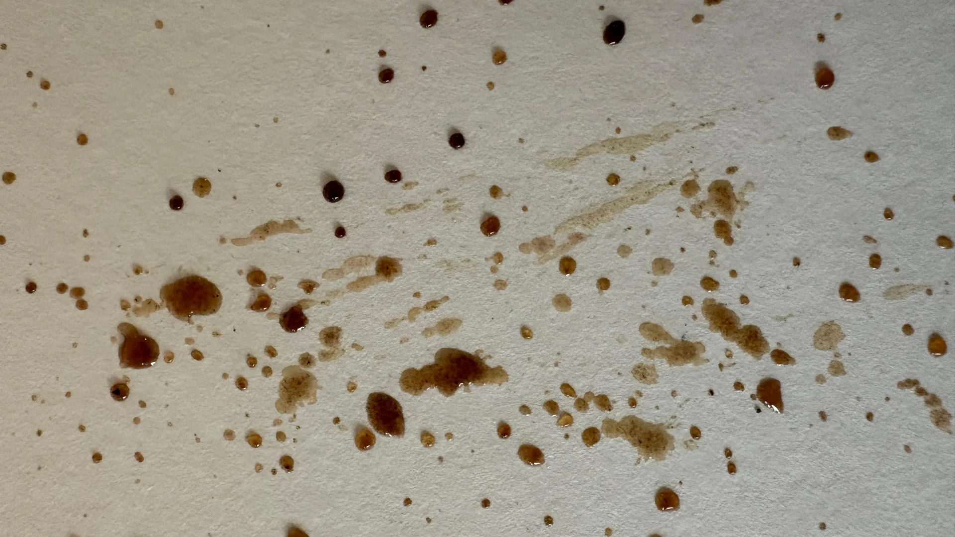 technique d'éclaboussures sur papier en peignant avec du café