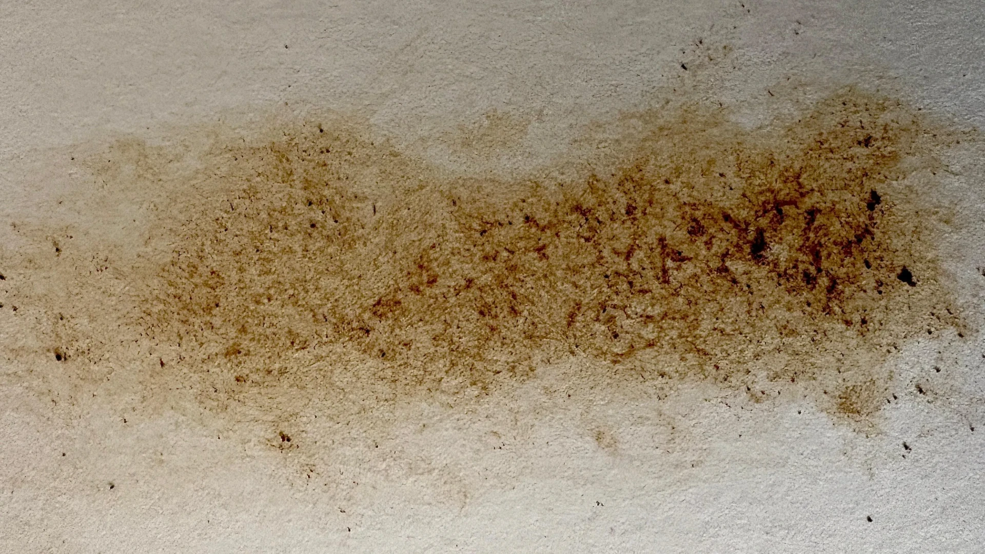 éclaboussures irrégulières avec les résidus de café en peinture
