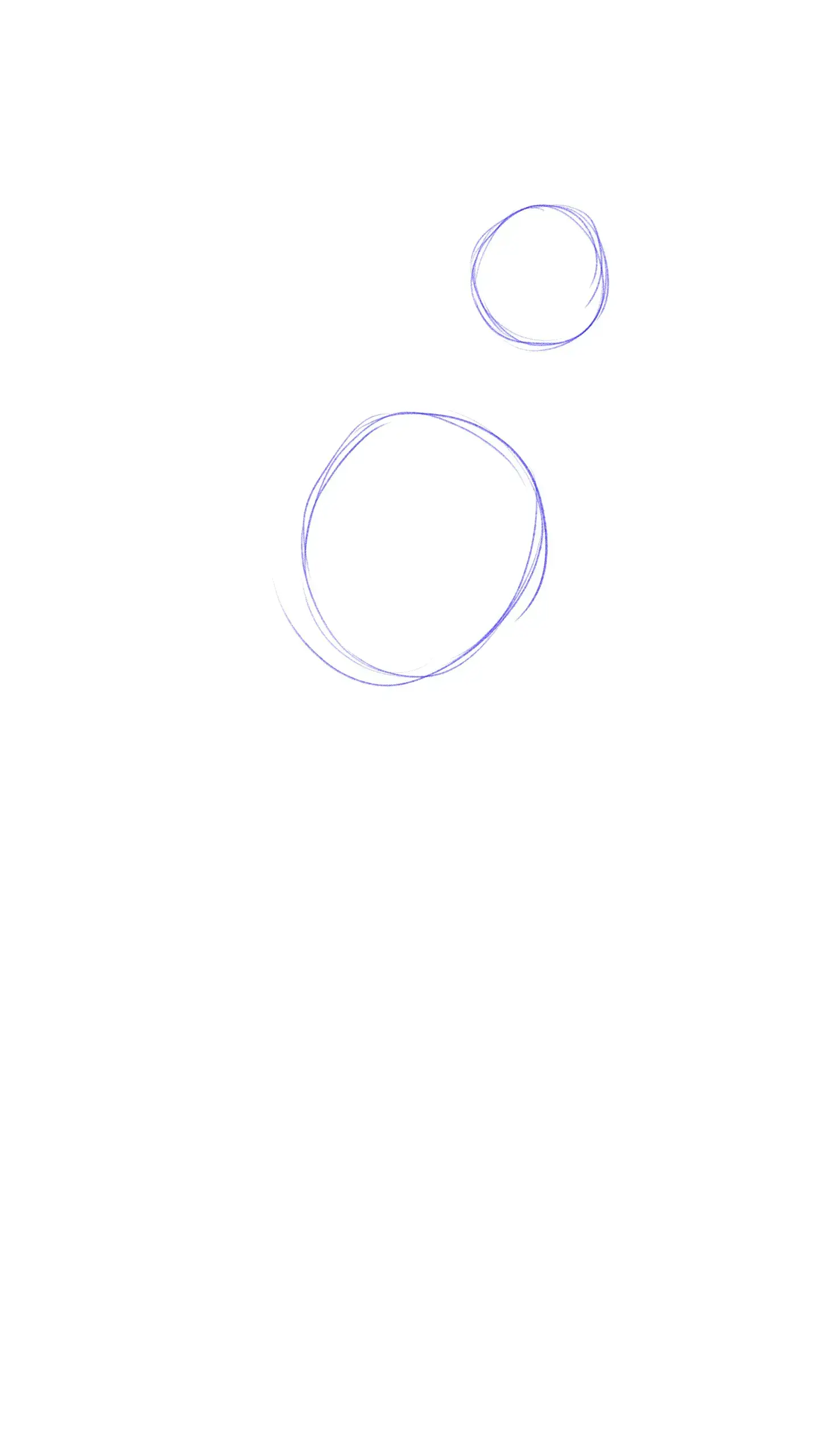dessiner la base d’un perroquet
