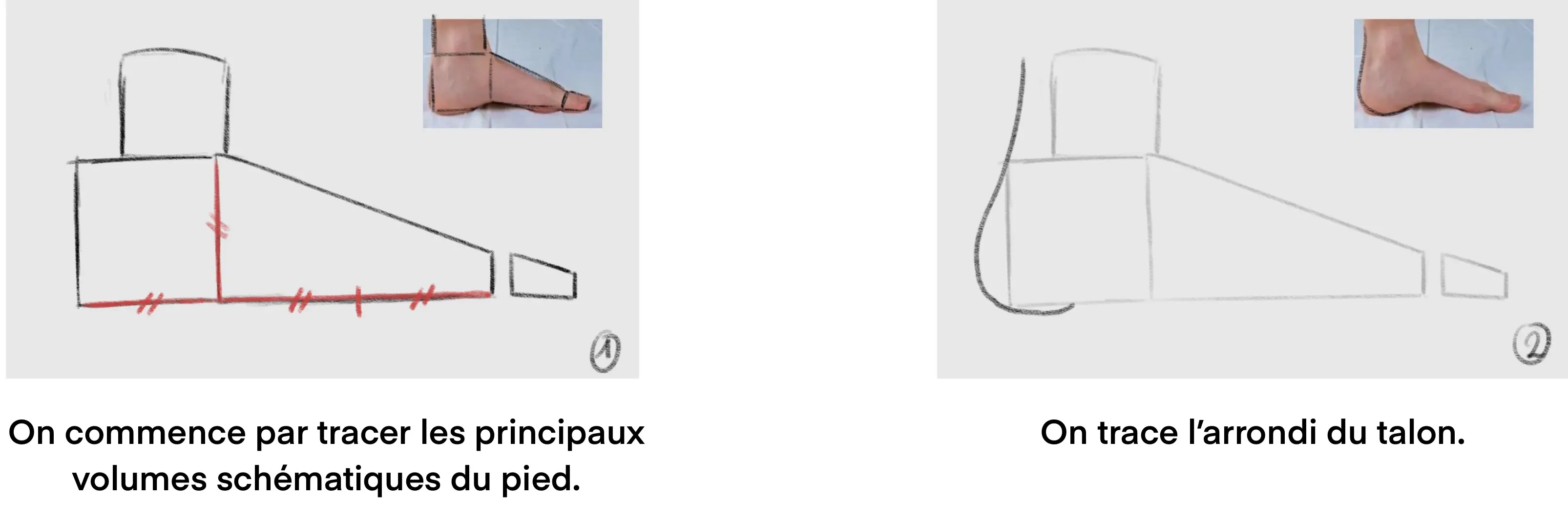 dessiner les volumes d’un pied de profil