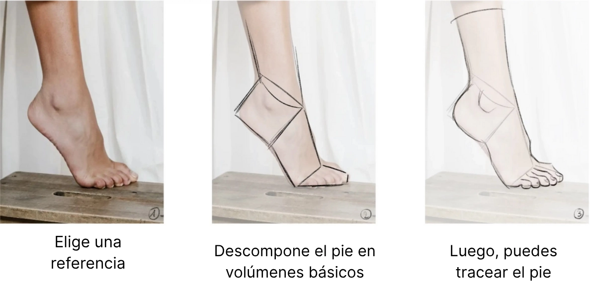 dibujar un pie a partir de una foto