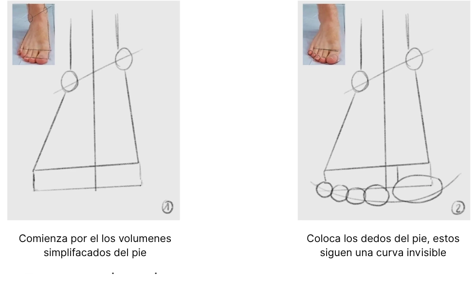 dibujar los volúmenes de un pie de frente