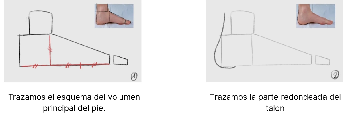 dibujar los volúmenes de un pie de perfil