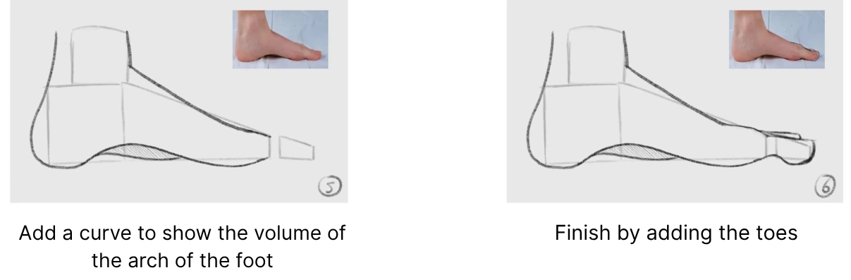 drawing of a foot in profile