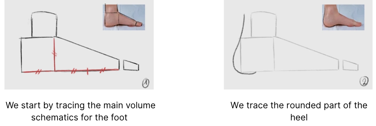 drawing of the volumes of a foot from the side