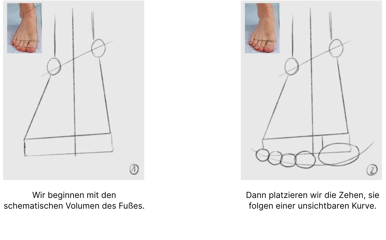 die Volumen eines Fußes von vorne zeichnen