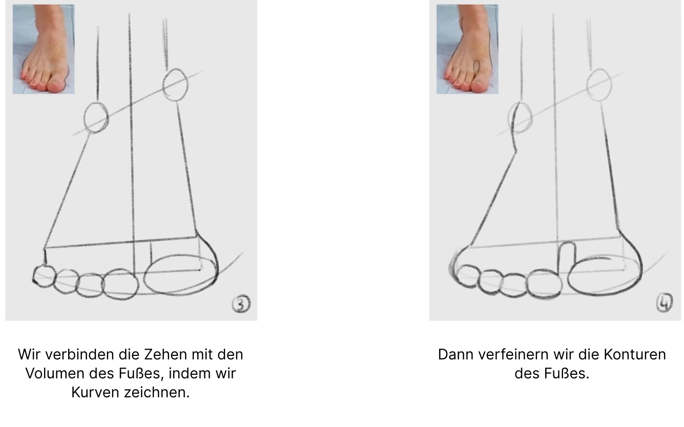 die Zehen eines Fußes von vorne zeichnen