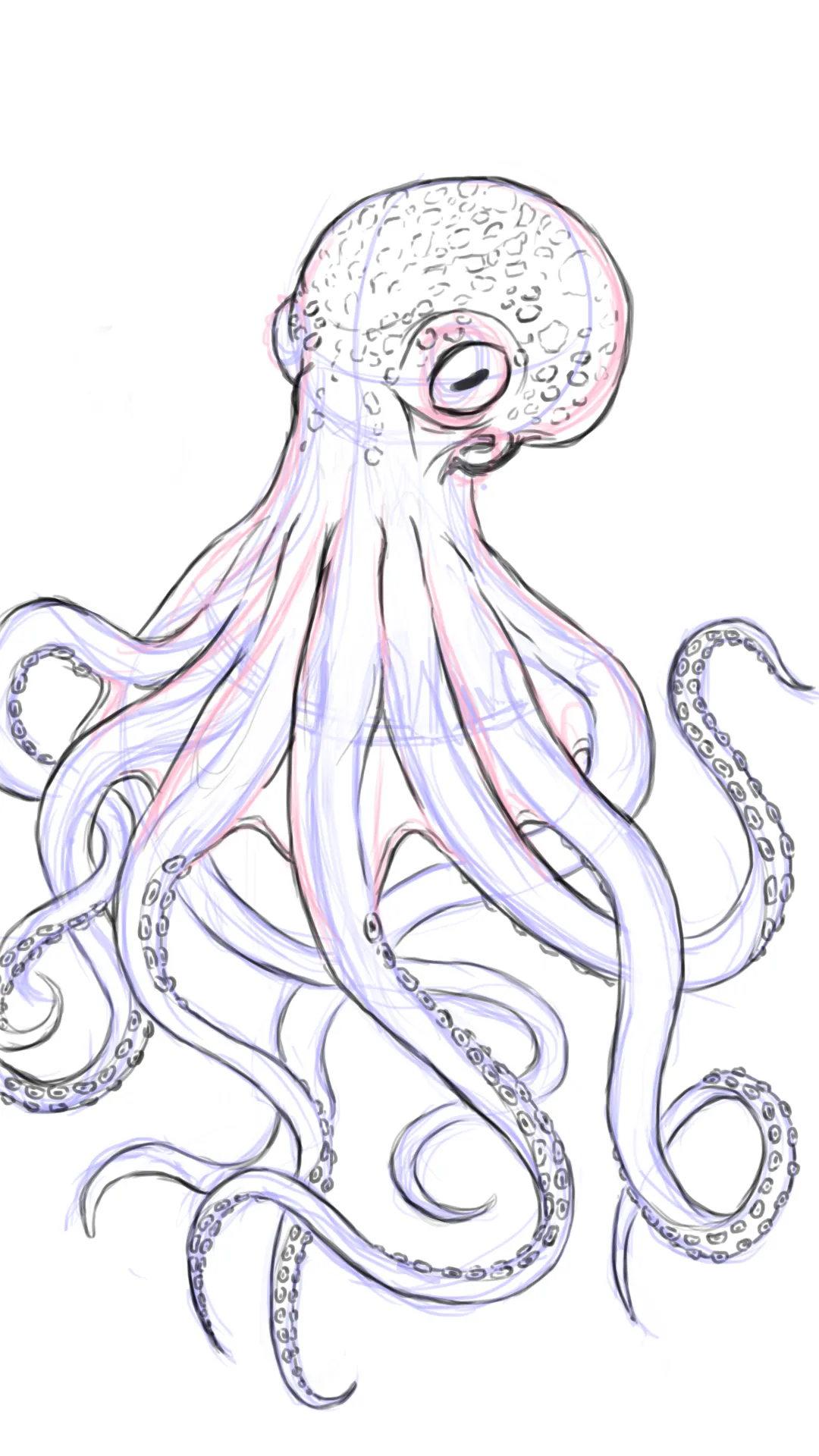 dessiner les détails des tentacules d’une pieuvre