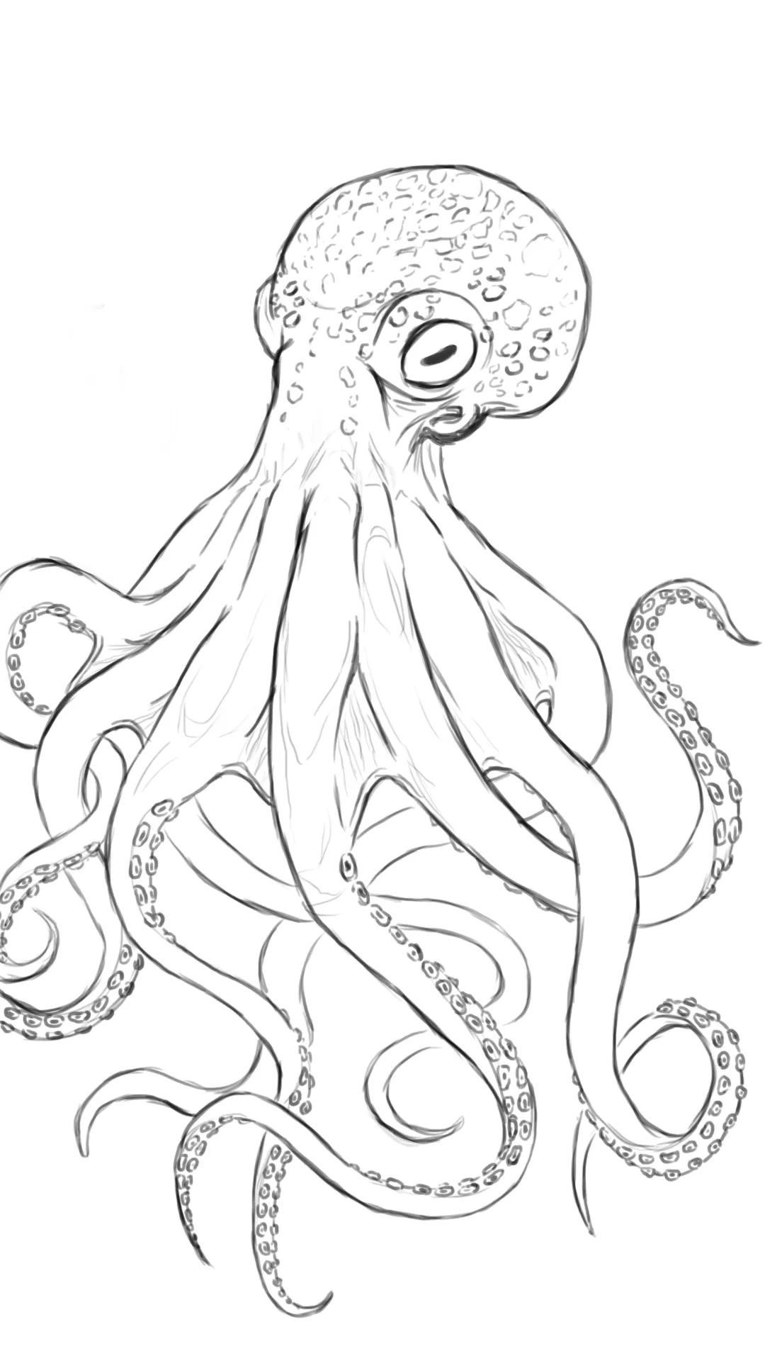 dessiner les taches d’une pieuvre