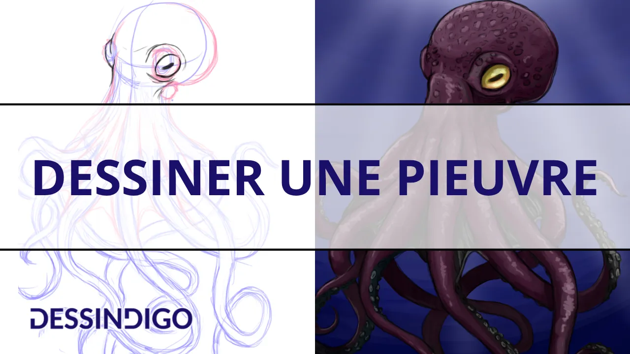 Dessiner une pieuvre