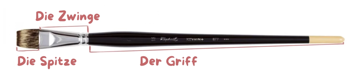 die Anatomie eines Pinsels zum Aquarellmalen