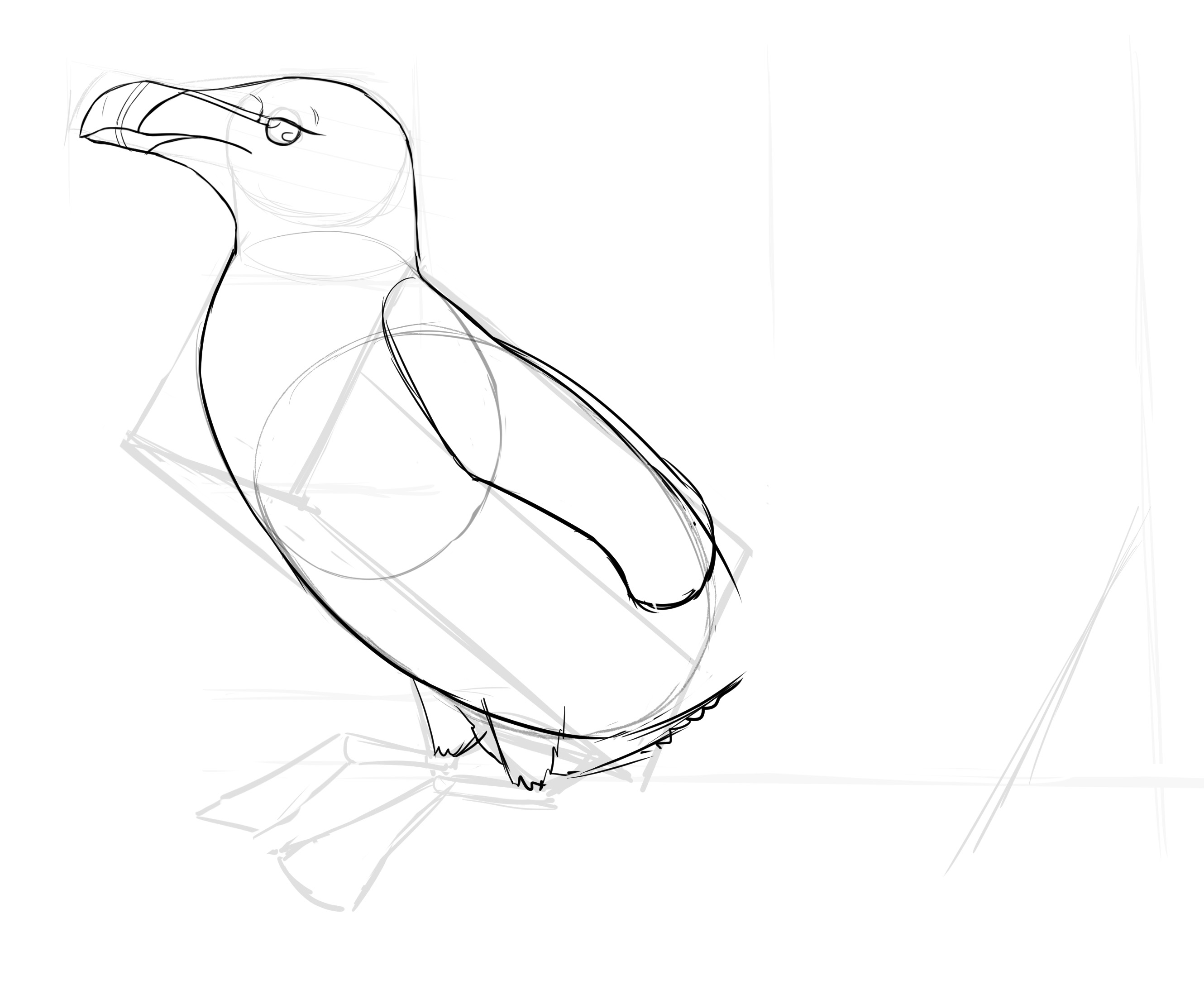 dessiner les ailes du pingouin 1