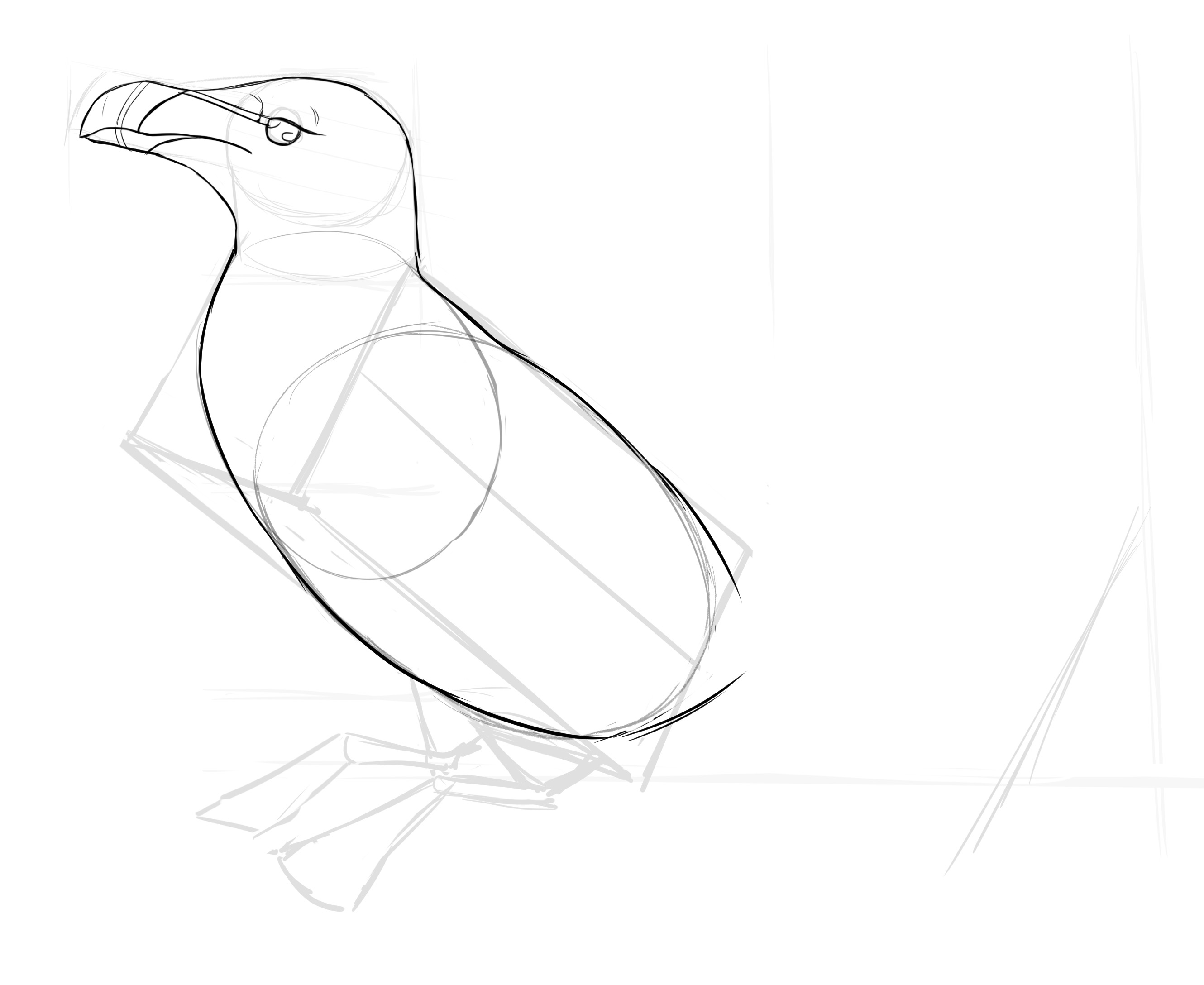 dessiner le corps du pingouin
