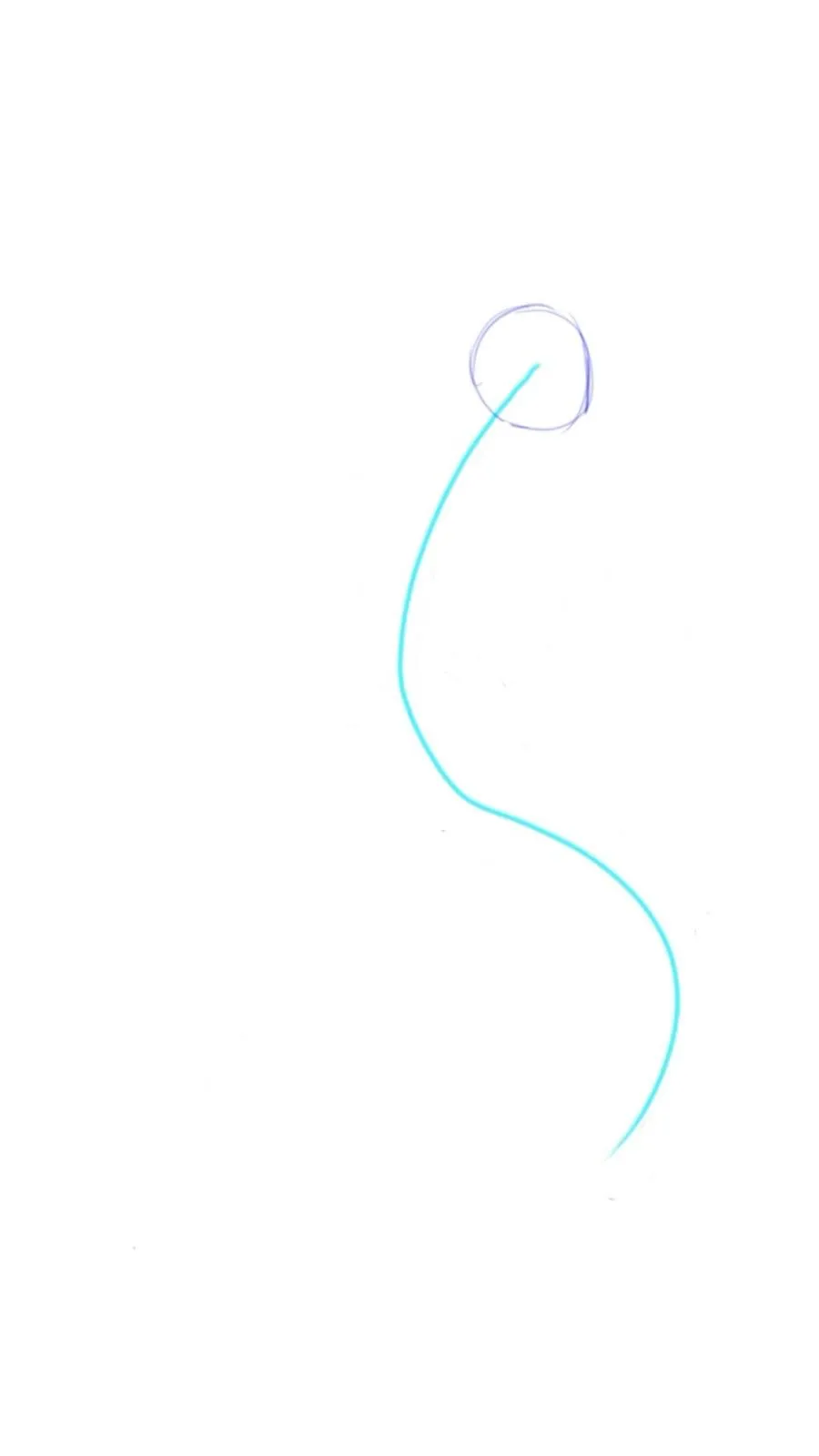 dessiner la base d’un pirate