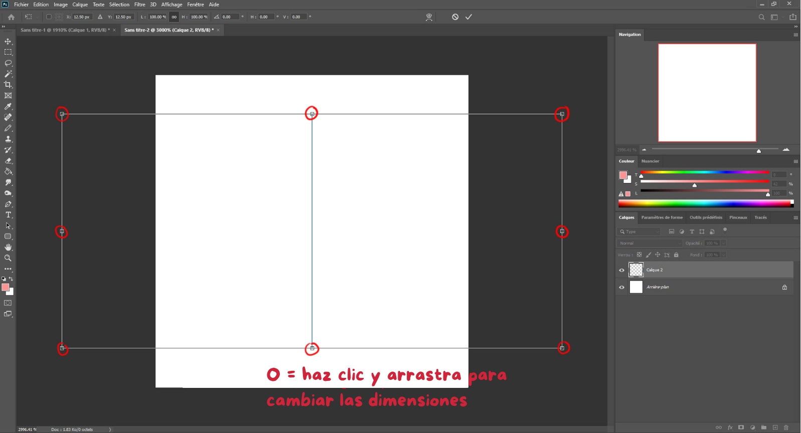 imagen en pixel art con la simetría-1