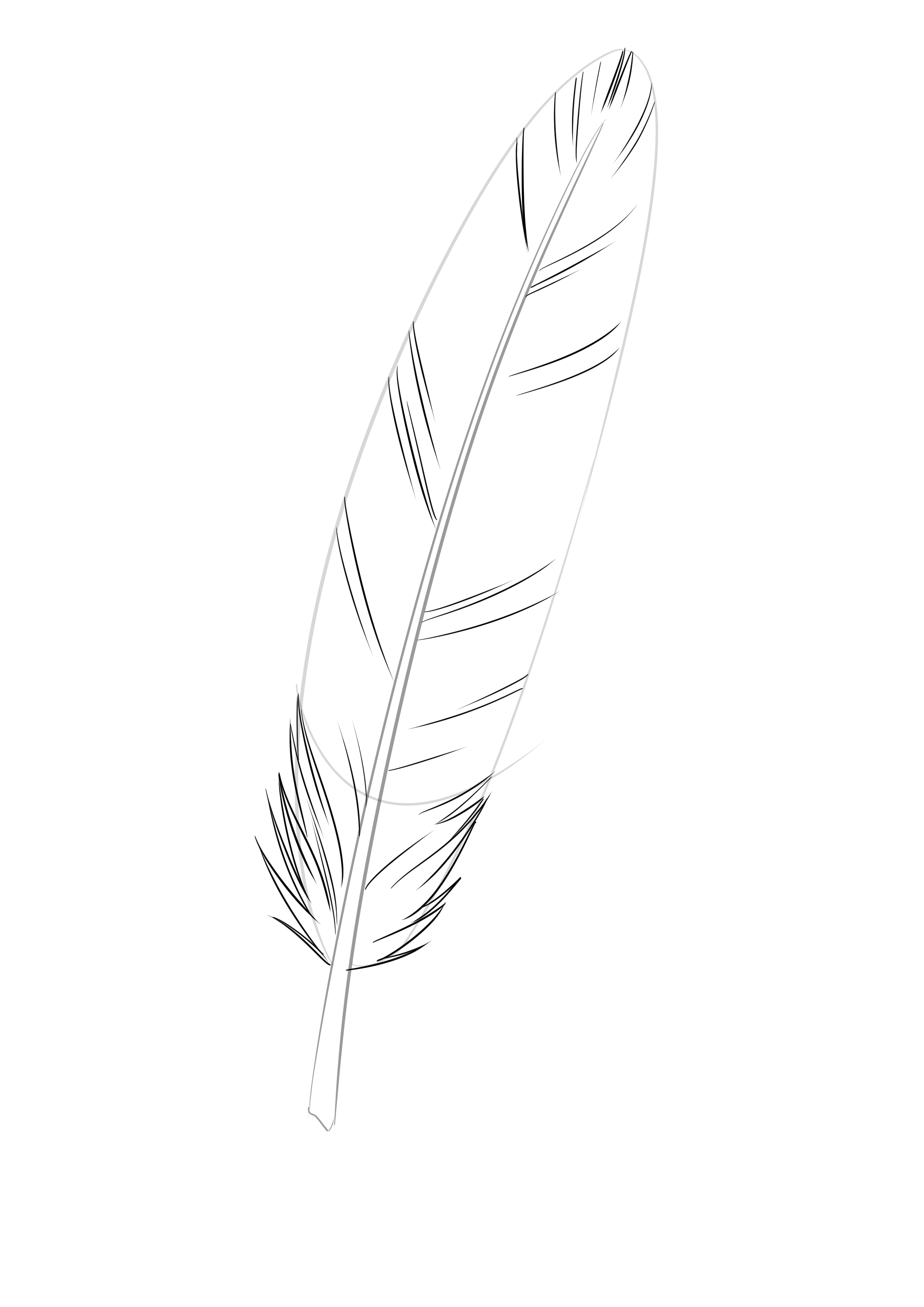 Comment dessiner une plume, étape 3