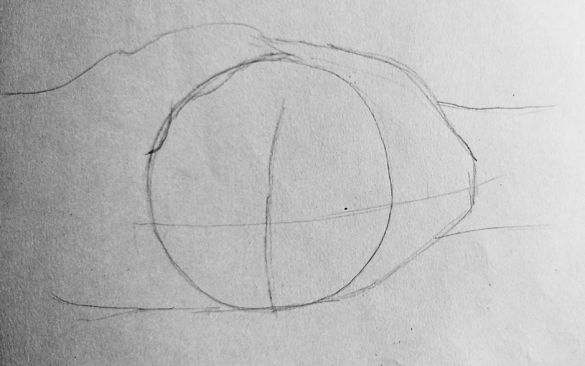 draw the base of a Chinese ink drawing