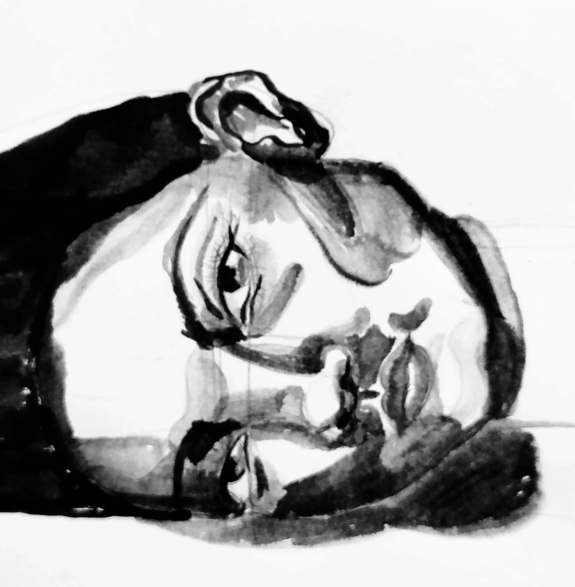 draw the hair of a portrait in india ink
