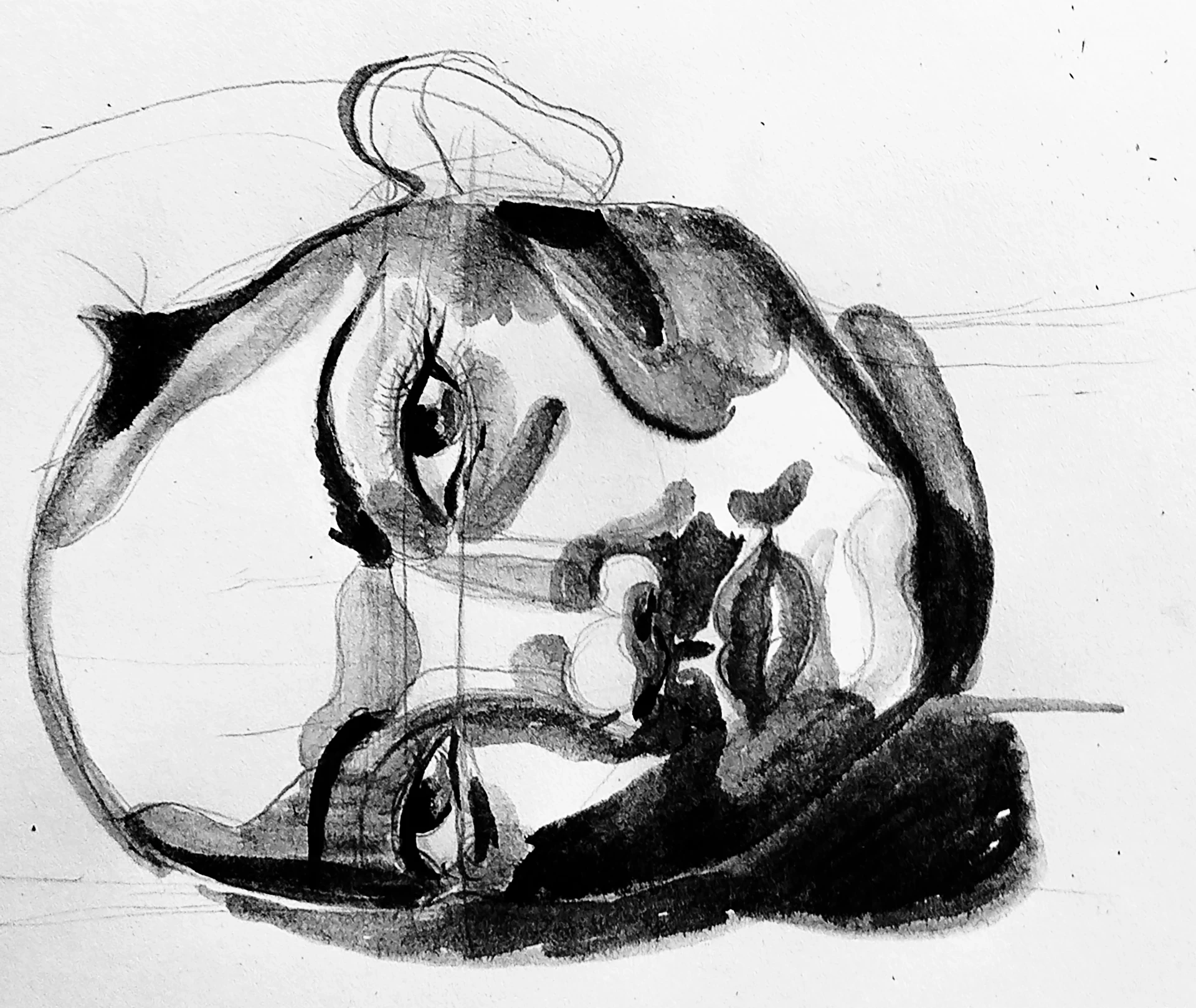 draw the details of a portrait in India ink