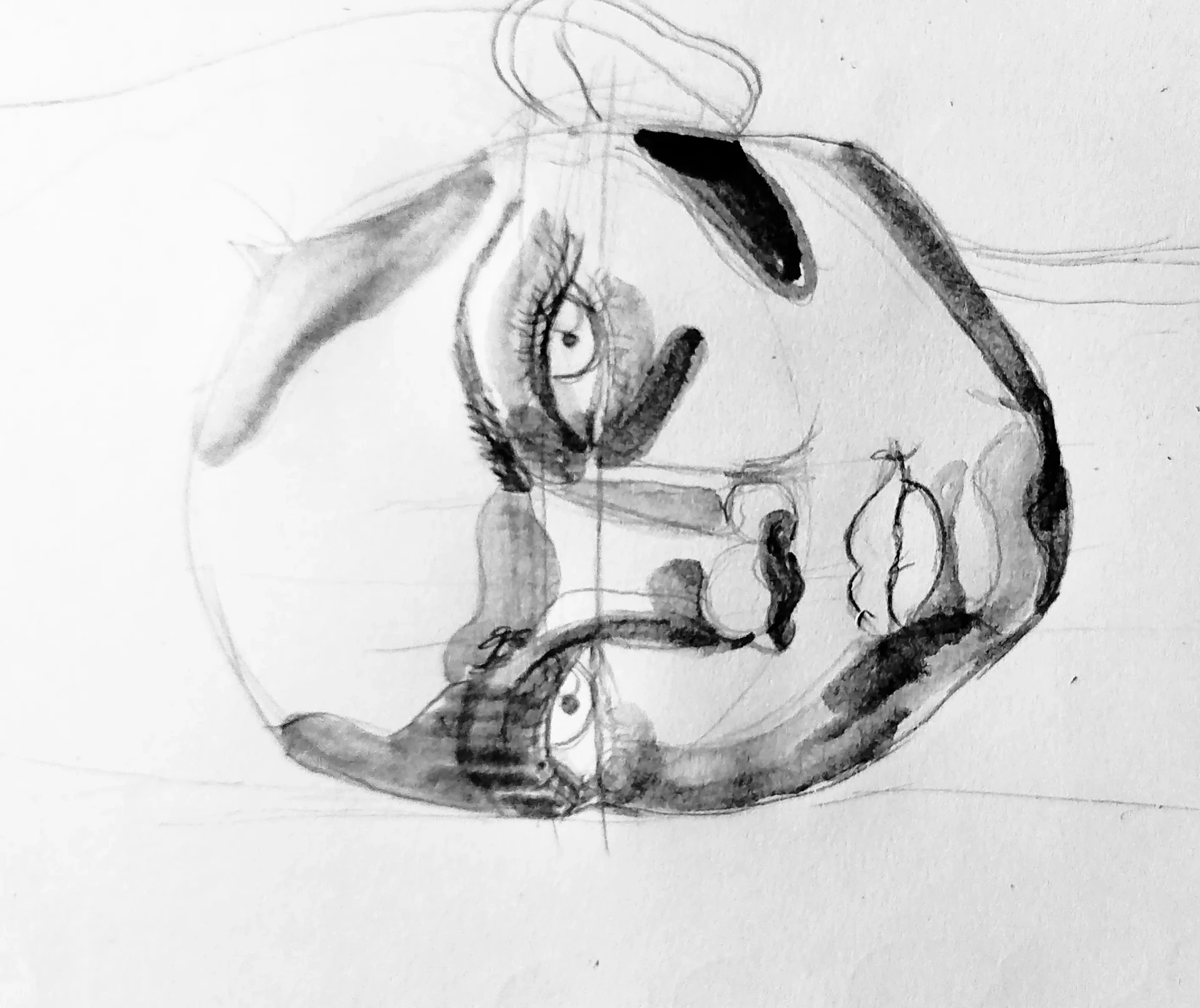 draw the outline of a portrait in India ink