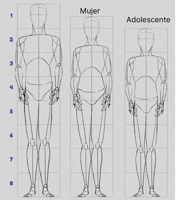 C mo Dibujar Las Proporciones Del Cuerpo Humano Gu a Paso A Paso C mo Dibujar Las Proporciones Del Cuerpo Humano Gu a Paso A Paso
