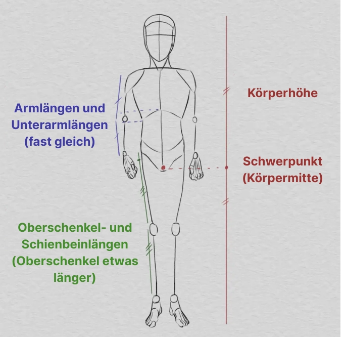 ein Körper nach relativen Proportionen zeichnen