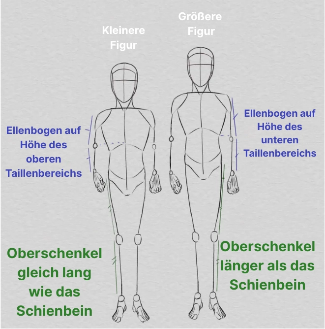 Körperproportionen in Abhängigkeit von der Größe zeichnen