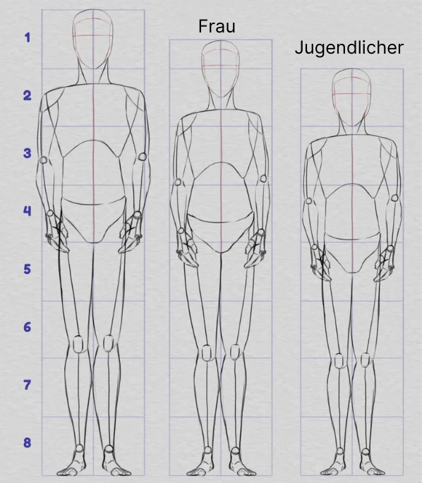 Zeichnen der Körperproportionen nach verschiedenen Körpertypen