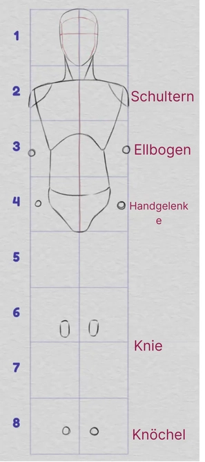 die Proportionen des Unterkörpers