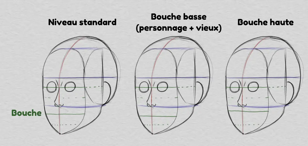 dessiner la bouche et les proportions du visage