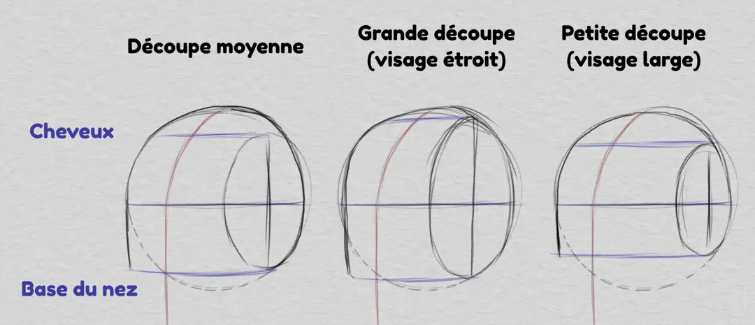 dessiner les cheveux et les proportions du visage