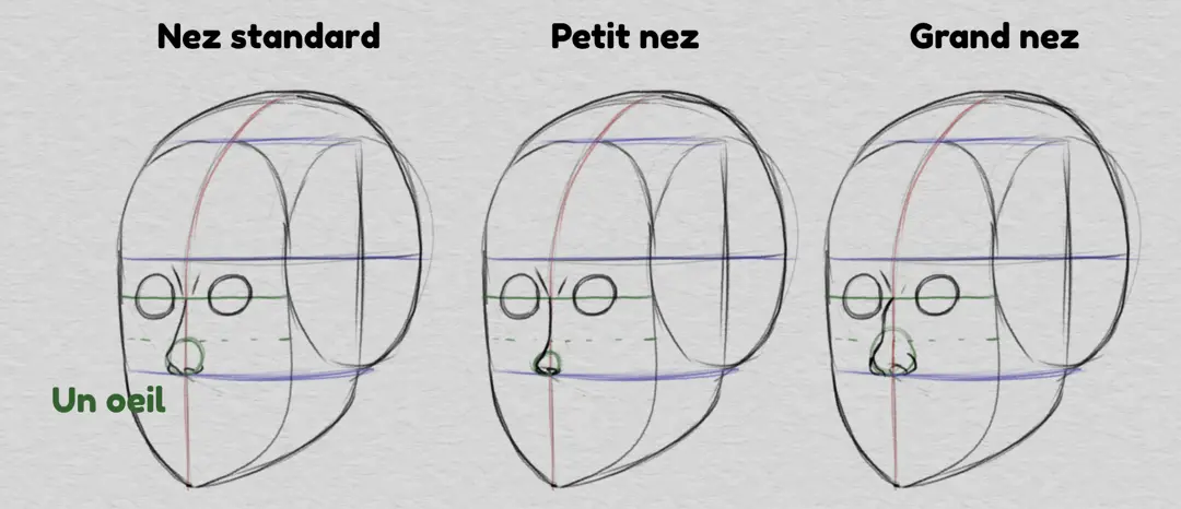 dessiner le nez et les proportions du visage