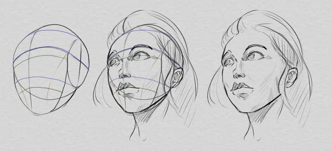 dessiner les proportions du visage