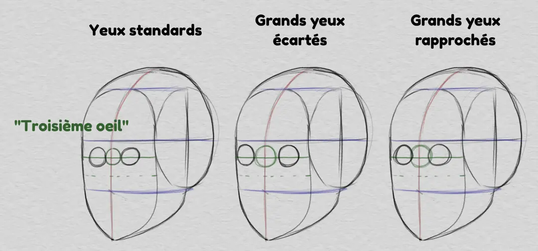 dessiner les yeux et les proportions du visage