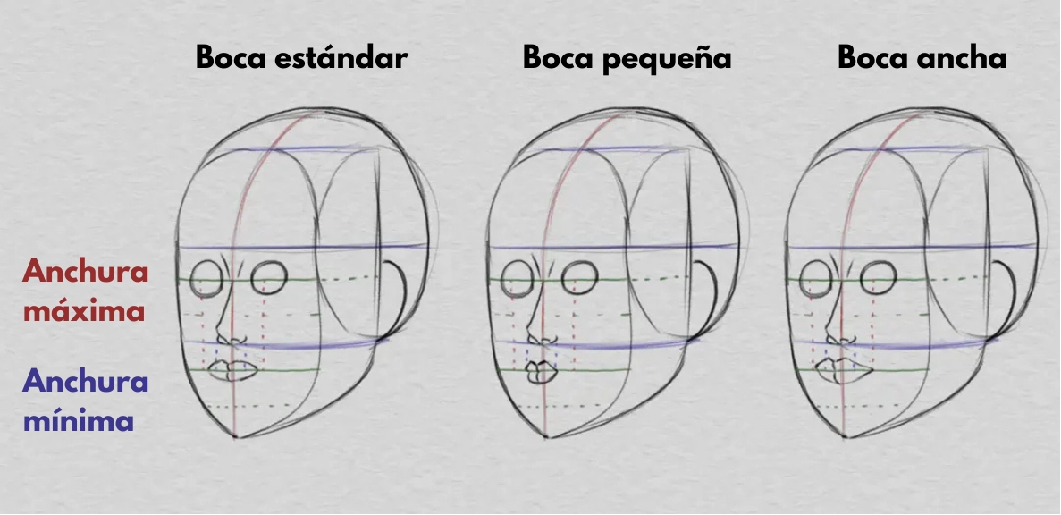 dibujar la boca y las proporciones del rostro
