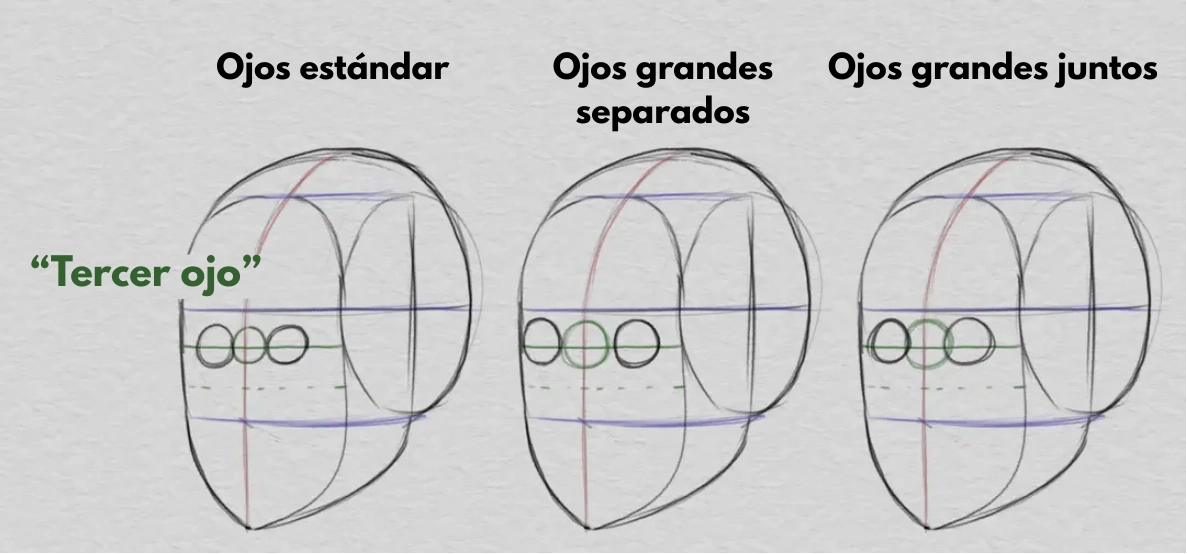 dibujar los ojos y las proporciones del rostro