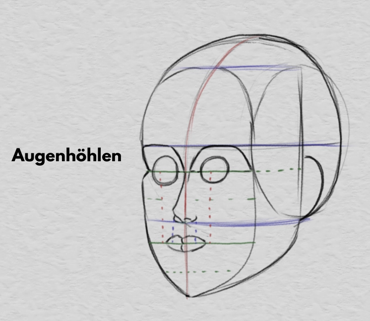die Breite des Mundes und die Proportionen des Gesichts zeichnen