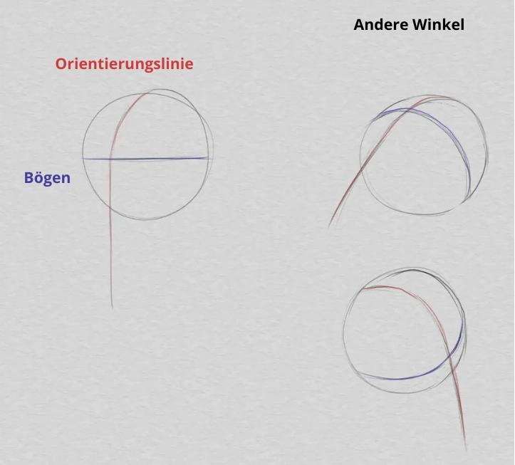 zeichne den Kopf und die Proportionen des Gesichts