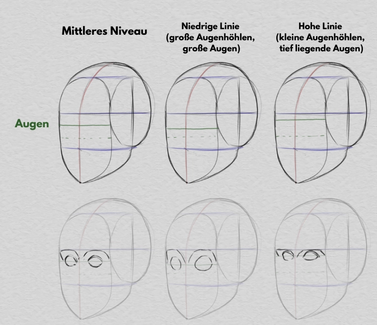 die Augenlinie und die Gesichtsproportionen zeichnen