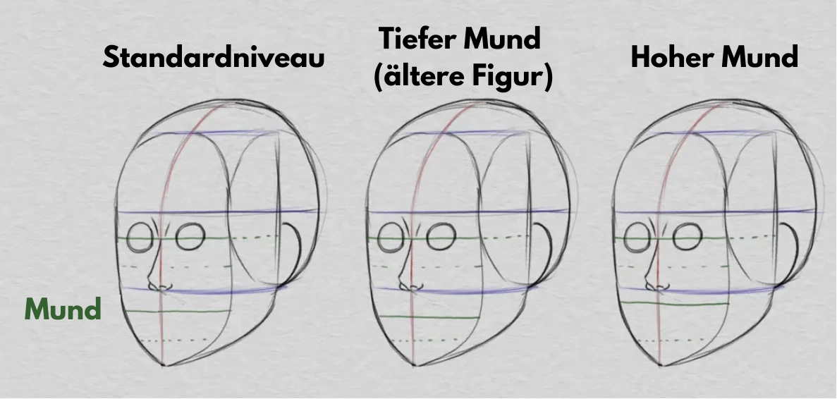die Ohren und die Proportionen des Gesichts zeichnen