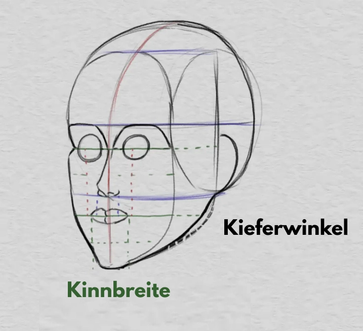 die Umlaufbahnen und Proportionen des Gesichts zeichnen